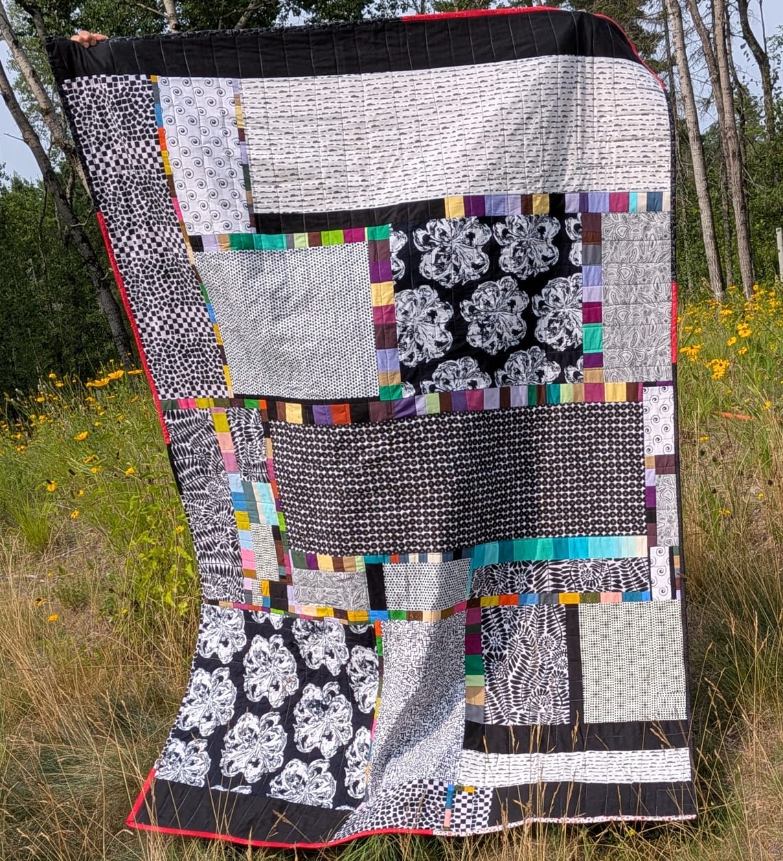 Black & white with color all over